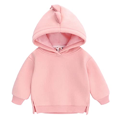 Famuka Little Kids Dinosaur Hoodie Toddler Boy Girl Sweatshirt Unisex Casual Tops (12-18 Months, Pink) #TOP1