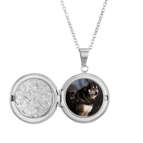 Collier avec médaillon pour chien Huanimal Lly Night, bijou d'identification et de promenade.
