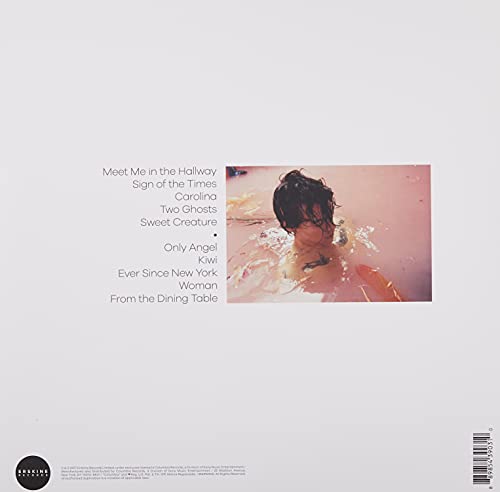 Harry Styles - View 4