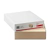 Staples 1/3Cut LeftTab File Folders, Letter Size, Manila, Durable Paper Stock, 100/Box