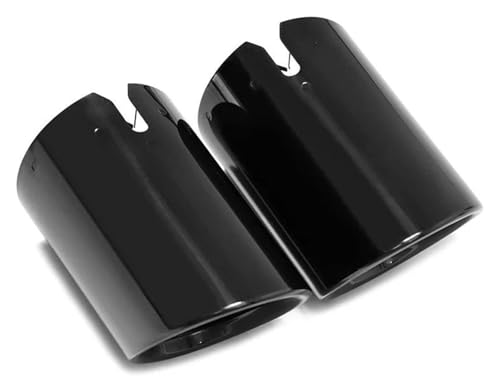 Per BMW 3 G20 G21 320d Serie 2020 2021 2022 Silenziatore per auto Terminale di scarico di ricambio Ugello di scarico per auto LR Argento.