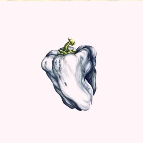 White Pepper