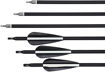 Futaba Archery Arrows for Recurve Bow Target Practice - Pack of 6- Black - 29 Inches 1