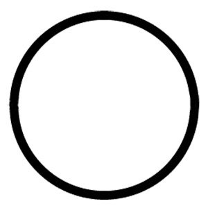 O-Ring for Membrane Housing Sump