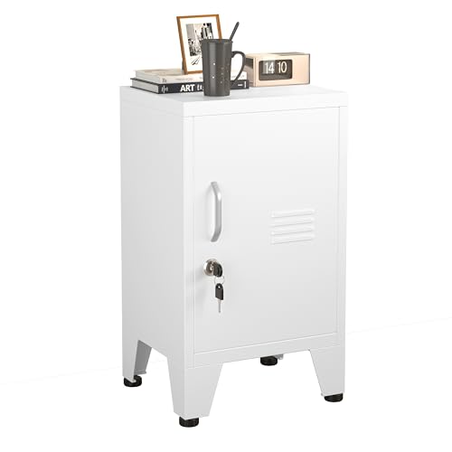 Metal Locking Storage Cabinet with Lock