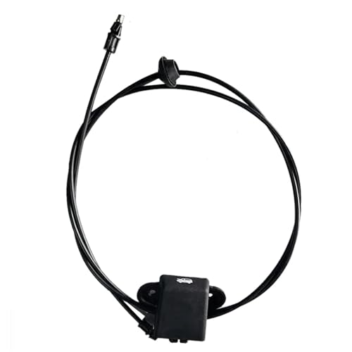 Poignée de capot Dodge Caravan pour entretenir votre monospace de 2001 à 2010