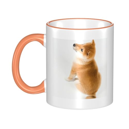 }OJbv  Č   ▭ȃt@bV [Jbv Mtg ㎿Ȑ ItBX ̕Ki