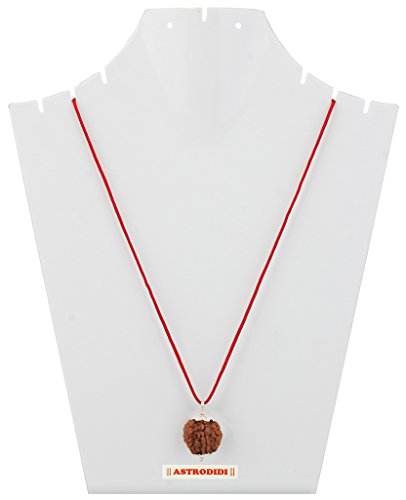 ASTRODIDI 7 Mukhi Rudraksha/Seven Faced Nepali Rudraksh Pendant Original Certified for Men and Women, Standard, Metal