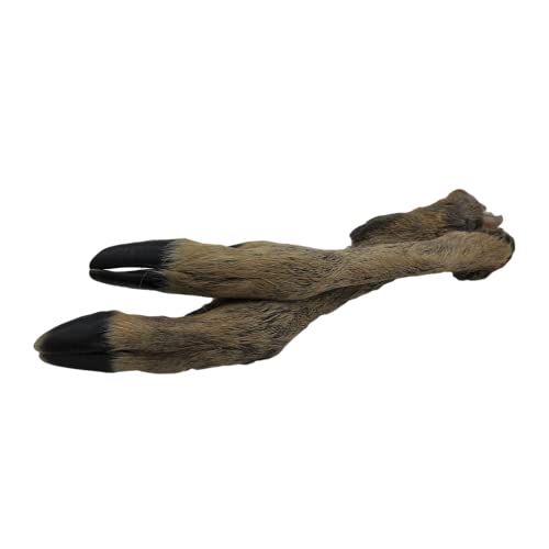 Wildleben Rehläufe/Rehbeine mit Fell und Huf, natürlicher Kauartikel für Hunde, 100% REH, schonend gedörrt, ohne Zusatzstoffe, 2 Stck. je Packung
