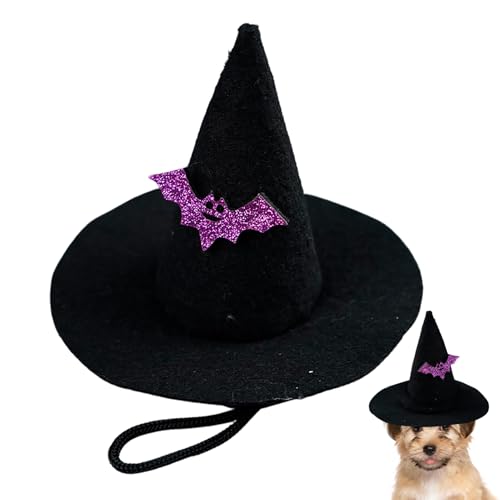 pXq, ybgpEBb`nbg, \ ϑ RXv x Ղ j p[eB[ ƑW p