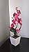 Orchid & Ivy 17-Inch Lighted Dark Pink Artificial Orchid Flower Plant with Timer - Battery Operated with 9 Lights