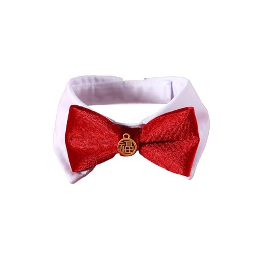 rooksta ybg X^C nbs[ lN^C  j  j t Ղ   Č  L (Fu LN^[ xxbgJ[AXXLTCY)