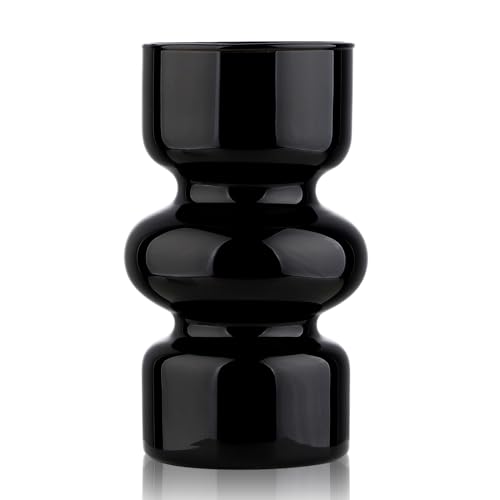 Vase hydroponique en verre noir VanEnjoy pour masquer l'eau et stabiliser les fleurs