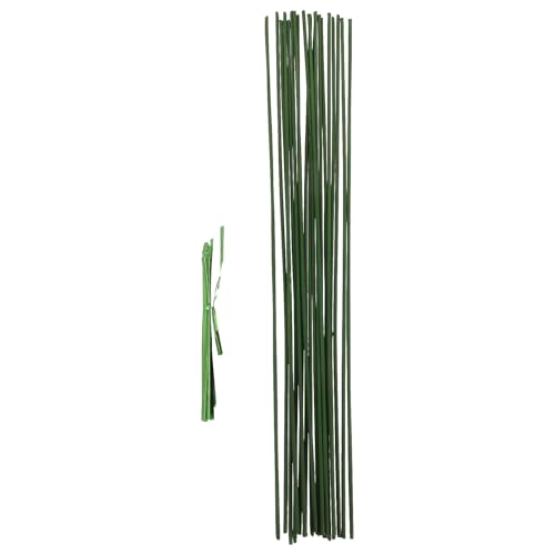 VALICLUD 20 Ax Ȃ\ȔAx_ Up^ vX`bN NC~OApŒ胉bN A̐iƗt