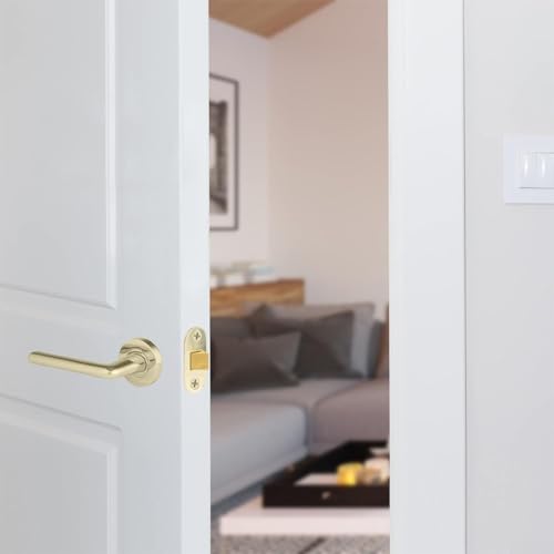 Pestillo tubular de latón pulido 2 cerrojos radiales para puertas de madera con placa de impacto (30 mm)