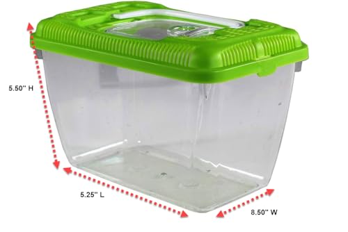 Penn-Plax Small World Habitat – Portable Clear and Transparent Plastic Tank – Excellent for Small Critters and Creatures – Easy to Clean & Handle – 0.6 Gallon - Image 5
