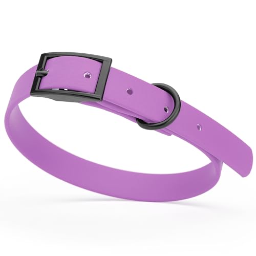 Image of Dogline Biothane Waterproof Dog Collar Strong Coated Nylon Webbing with Black Hardware Odor- Proof for Easy Care Easy to Clean High Performance Fits Small Medium or Large Dogs, Amethyst Purple