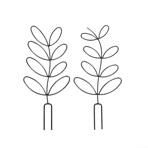 Lot de 2 treillis élégants pour plantes grimpantes d'intérieur - Parfait pour soutenir le hoya et le pothos (noir)