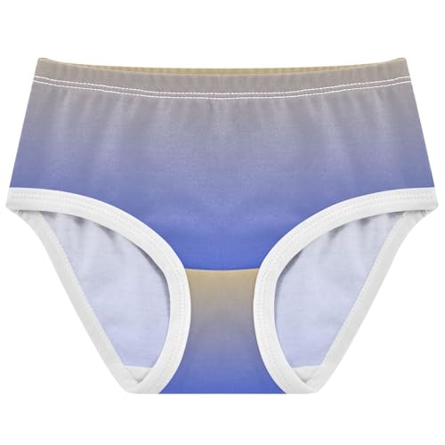 Joisal Toddlers Underwear Floral 2t Cotton Little Girl Panties Print Kids Undies Briefs Ombre Yellow Ultramarine Gradient