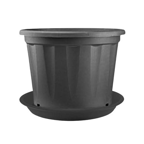 Hug A Plant | Heavy Duty Black Plastic Planter | Grower Pot/Garden Pot with Black Tray for Home & Garden (12INCH | 30CM) (Pack of 1) Hug A Plant | Heavy Duty Black Plastic Planter | Grower Pot/Garden Pot with Black Tray for Home & Garden (12INCH | 30CM) (Pack of 1)