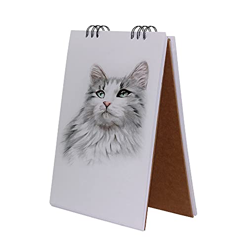 ZMCYN - Cuaderno de bocetos Cover