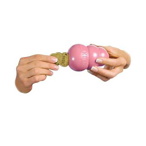 KONG Snacks - Natürliche Hundekekse - Mit leckerem Geschmack - Für KONG-Spielzeuge - Hühnerleber, Große Welpen-Spielzeuge