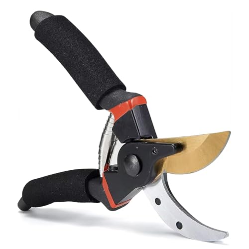 Image of Aditi Enterprise 8 Inch Gardening Scissors Plants Scissor | Garden Shear Tree Branch Pruner | Gardening Cutter Tool | Plant Cutter for Home Garden | Wood Branch Trimmer (pruners for gardening)
