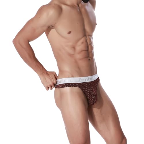 JINSHI Men's Sexy Low Rise Thongs Underwear Stretch Bulge Pouch T-back Stripe bikini Butt-Flaunting G-string4