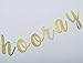 Hip Hop Hooray Gold Glitter Banner，Birthday, Play Room, Housewarming,Easter,Springtime Decor, Gallery Wall, Photo Prop (Gold)