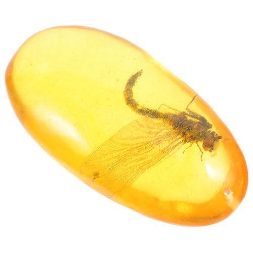 VILLFUL Exquisite Amber Stone Specimen Insect Resin Sample for Decor Unique Insect Amber Specimen
