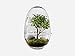 Produktbild Grow XL Gewächshaus Design House Stockholm