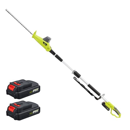 DEWINNER Cortasetos con pértiga telescópica 20V,Tijeras Cortasetos telescópicas, 460 mm de Longitud de Corte, 2 batería...