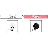 JAPPY サーモカラーセンサー 1K65-JP