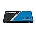 Ridata S801 SSD (Internal Solid State Drive) 3D NAND 2.5