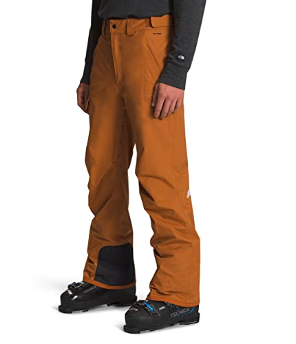 The North Face Men's Freedom Pant - Regular, Leather Brown, Small Regular #TOP2