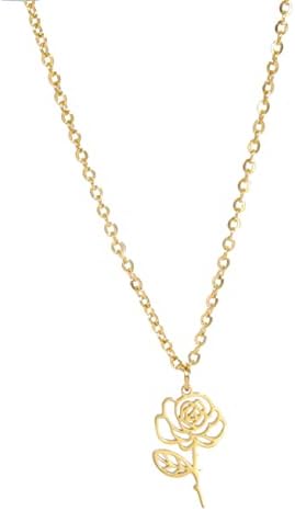 kkjoy Birth Month Flower Necklace Stainless Steel 12 Month Birthday Flower Pendant Necklace Best Friend Necklace Jewellery Gifts for Women Girls