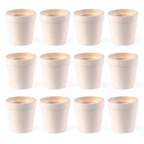 Fun Express Mini Flower Pots Ceramic Set of 12 - Unpainted White 3 Inch Plant Pots Ready to Paint | DIY Ceramic Painting Kit for Kids Craft Projects, Classrooms & Art Activities | Bisque Ceramics