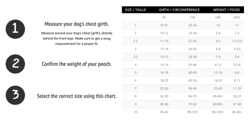 Buddy Belt Harness Moonwalk - Luxury Edition (2.5) #TOP6