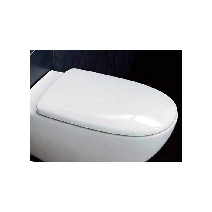 Buy Toilet Seat for Flaminia Spin as Original Heat Resistant IronOn