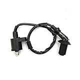 Zündreihenfolge: Die Zündanlage des Motorrads löst die Zündung entsprechend der Reihenfolge aus, in der der Motor läuft.