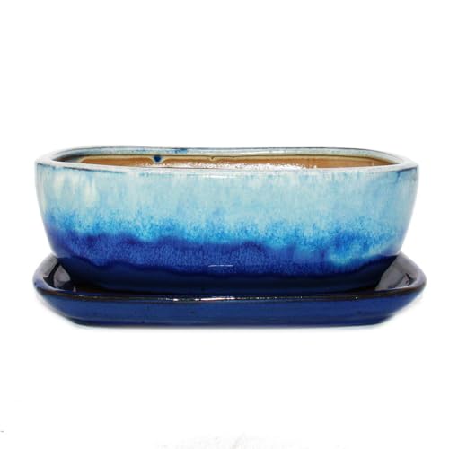 exotenherz Bonsai-Schale mit Unterteller Gr. 4 - Blau-Beige - rechteckig - Modell GB5 - L 26cm - B 20cm - H 9cm