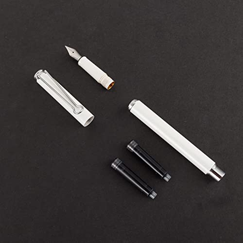 Aihao Refillable Fountain Pen, Fine Point, Black Ink, 2 Ink Cartridges In One Set, Pear White, Metal Pen #TOP1