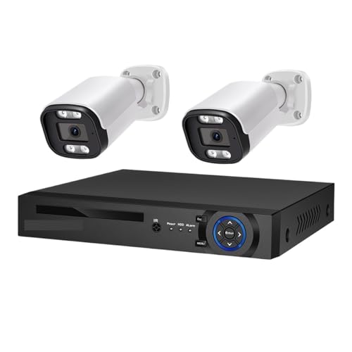 8MP POE ZLeBJVXe I[fBI NVR Lbg CCTV O IP J H.265 P2P rfIĎZbg(2T,4CH NVR 2 AI Camera)