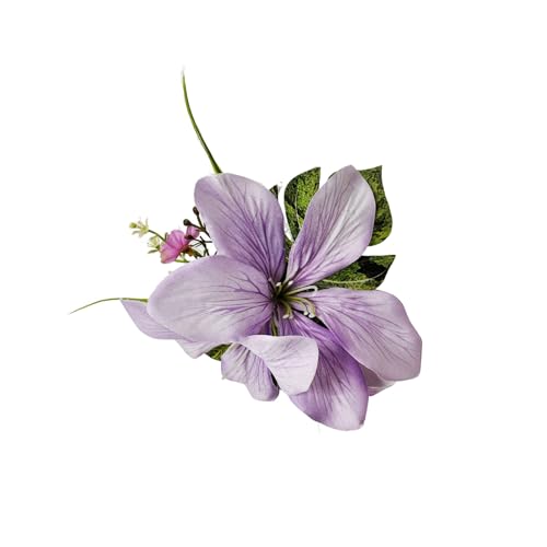 ԃwANbvi`fUCɂwAsJWAEGfBOCxgX^CÔ߂̃̔TChNbv