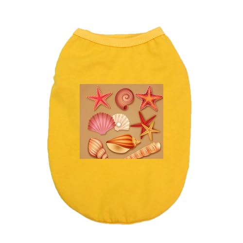 CNJKS Lm ^ ^ L hbOEFA tėp  |GXe ӂӂ팢 H~ t H iDUo o EȒP t@bV Eѕی 4XL ƒ U fUC1   [EFA