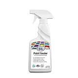 Rain Guard Paint Sealer Spray 16 oz | Ready to Use | Protects Painted Concrete, Wood, Stone | Silane/Siloxane Acrylic Waterproofer | UV Resistant | Fast Drying | Semi-Satin Finish