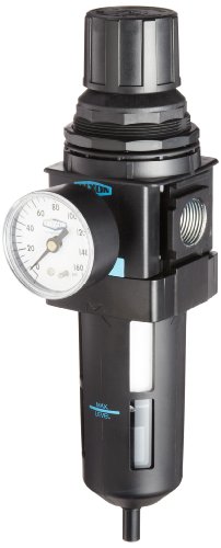 Dixon B28-06AG Automatic Drain Wilkerson Standard Filter/Regulator with Transparent Bowl and Guard, 3/4