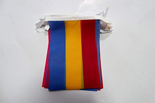 AZ FLAG Pansexual Bunting Flag, 20 Ft Garland with 20 Small pansexuality Flags 8'' x 6'', 100% Polyester String Pennant, 6 meters