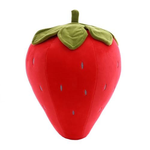 Ladruph C`S  NbV ʂ 50cm 傫 HוNbV { Q Aʂ  HX G  C nI ʔ 킢 ӂӂ  ʕ 蕨 ʂ