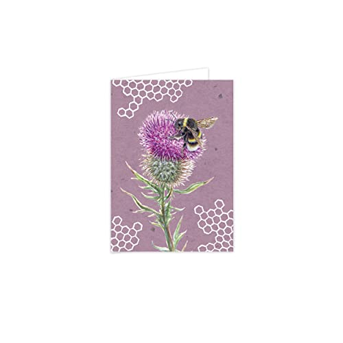 Otter House Gift RSPB - in The Wild Stationery - Small Notecards (6 Card Pack) - Thistle & Bee